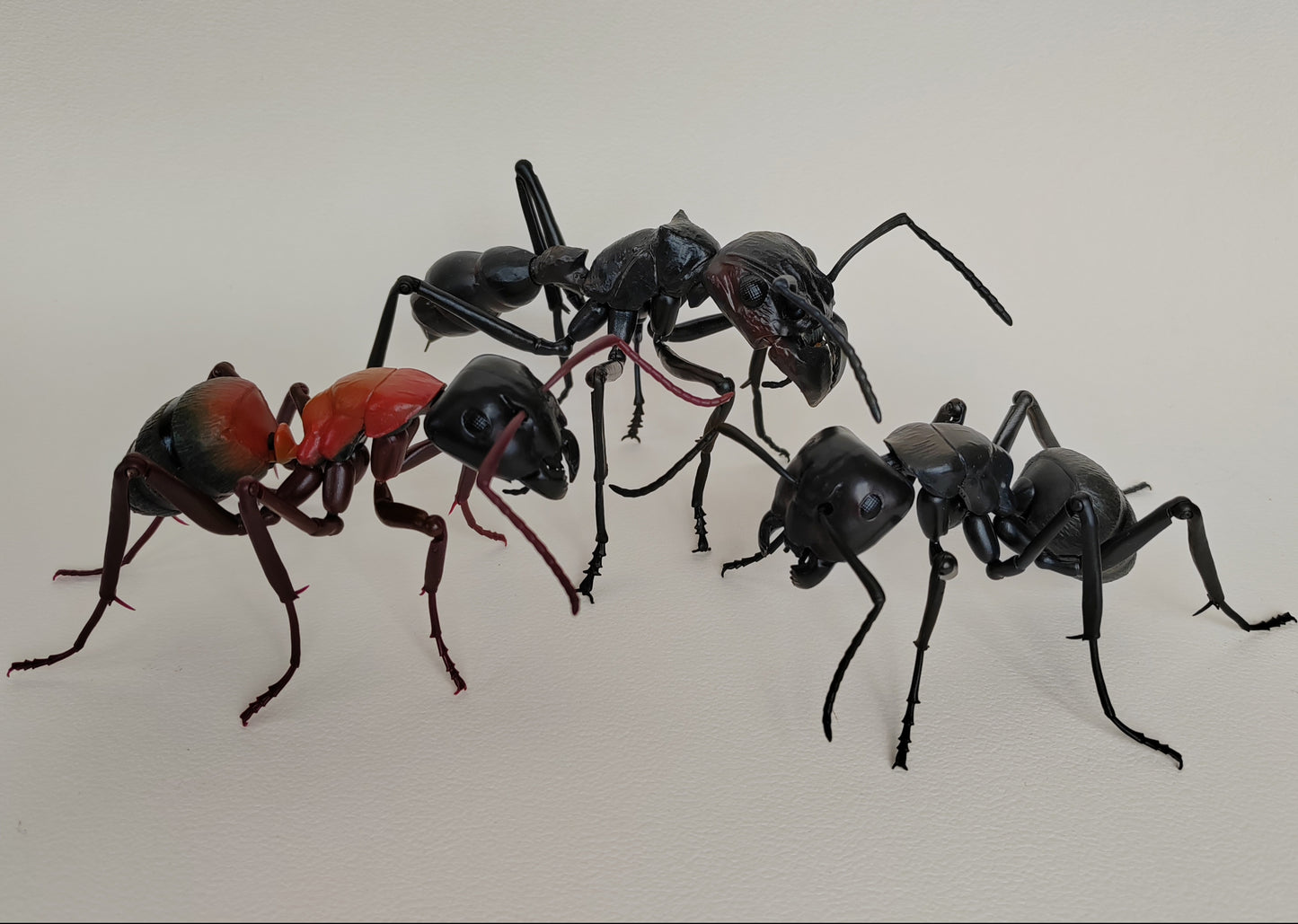 Bullet Ant, Paraponera clavata, Japanese fully posable figure (And other ants!) made by Bandai