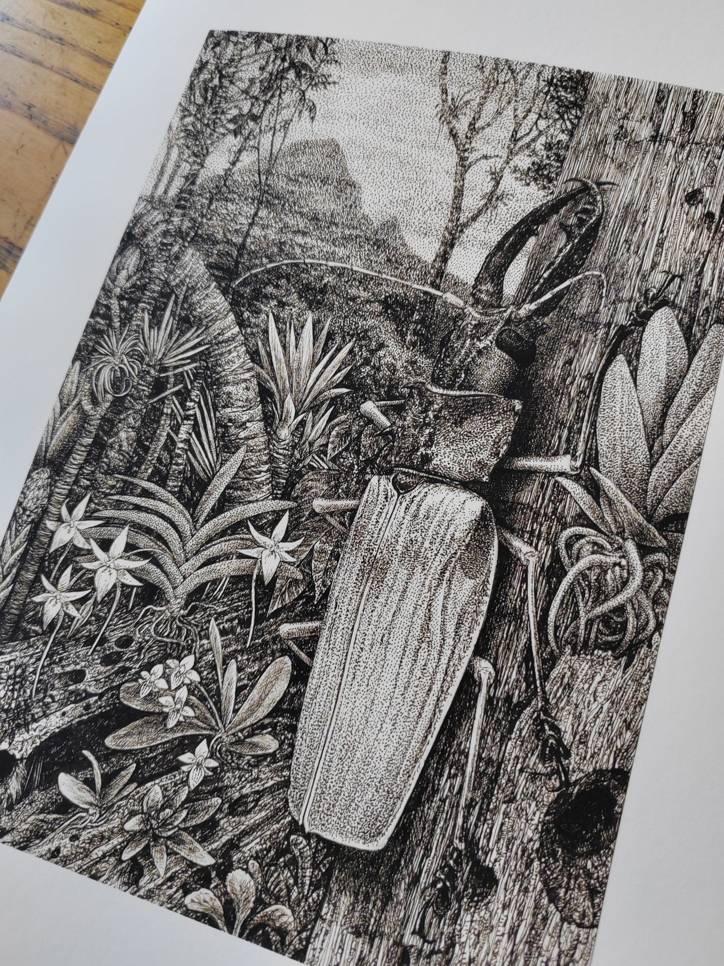 Macrodontia Landscape, A4 size Limited edition art print
