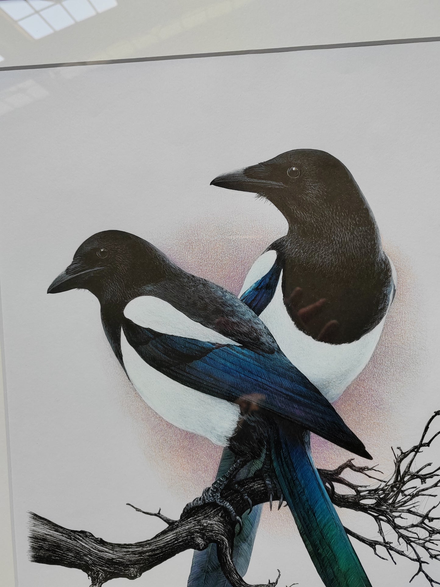 Framed Original Artwork - Two for Joy, Magpies