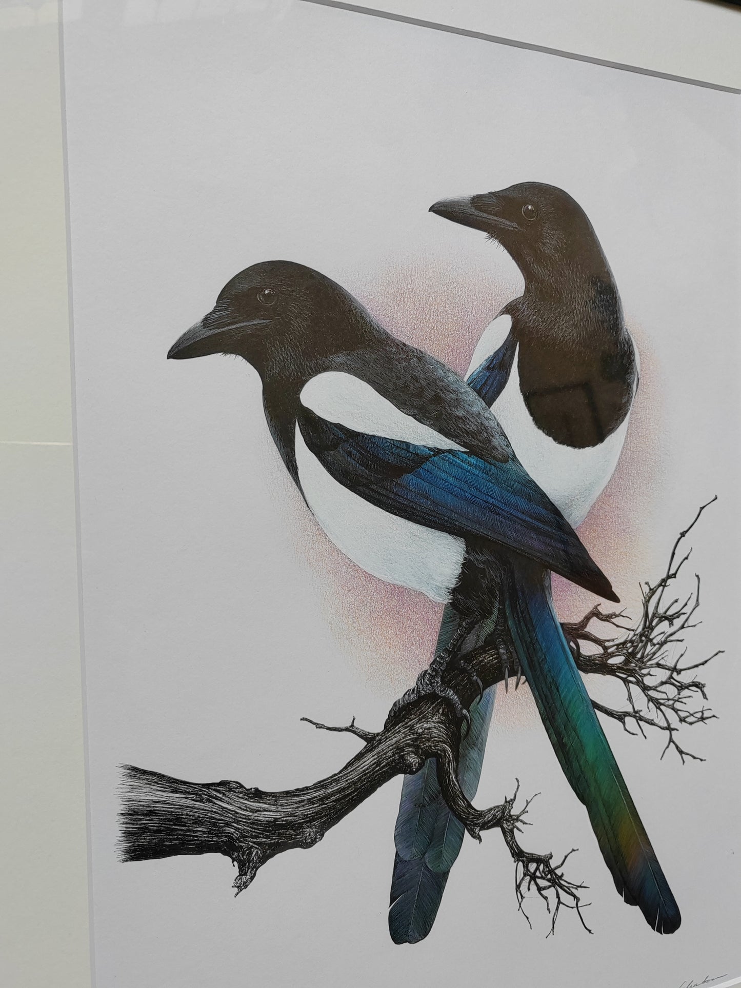 Framed Original Artwork - Two for Joy, Magpies