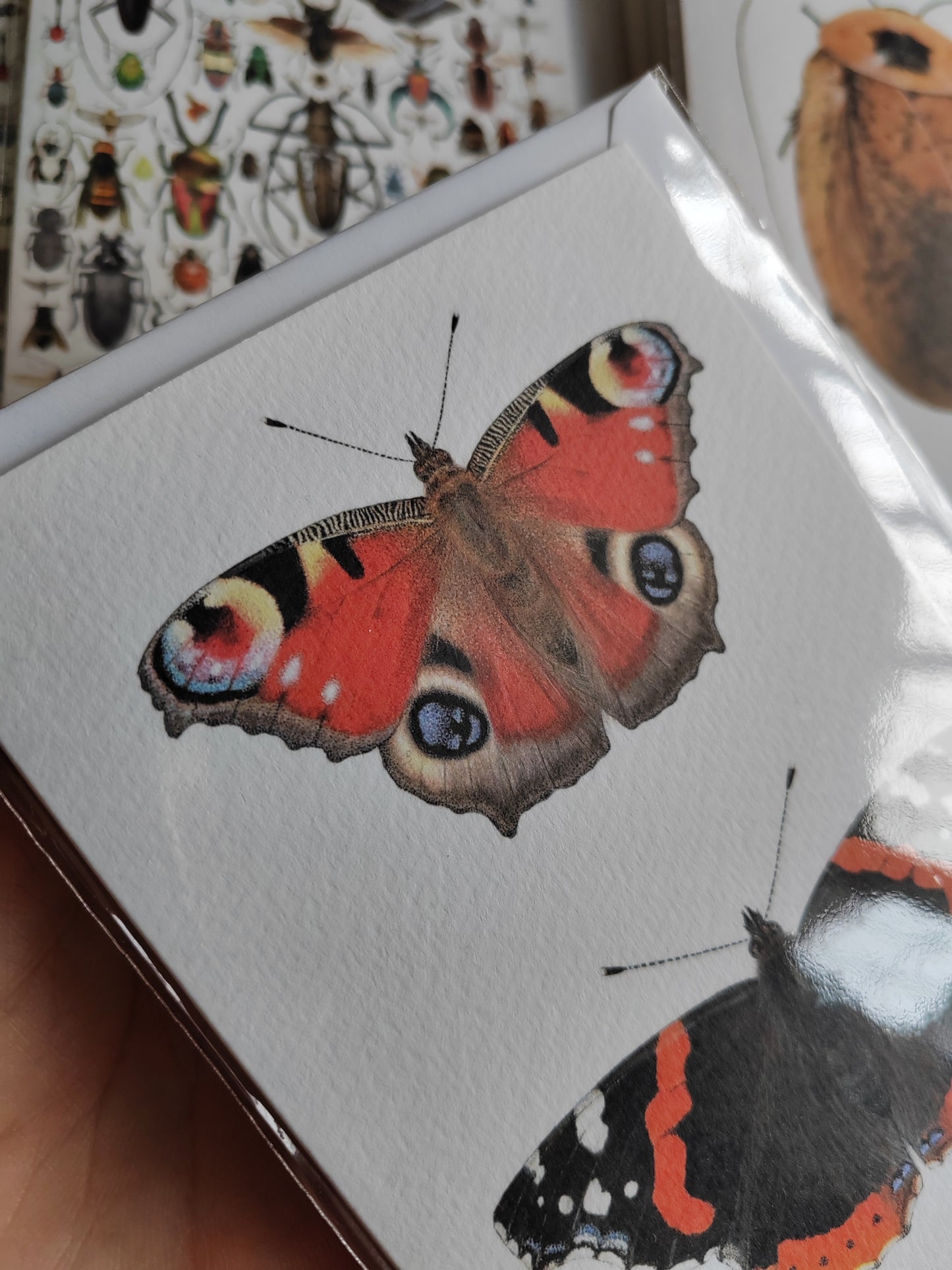 Greetings card - British Butterflies - Peacock butterfly and Red Admiral