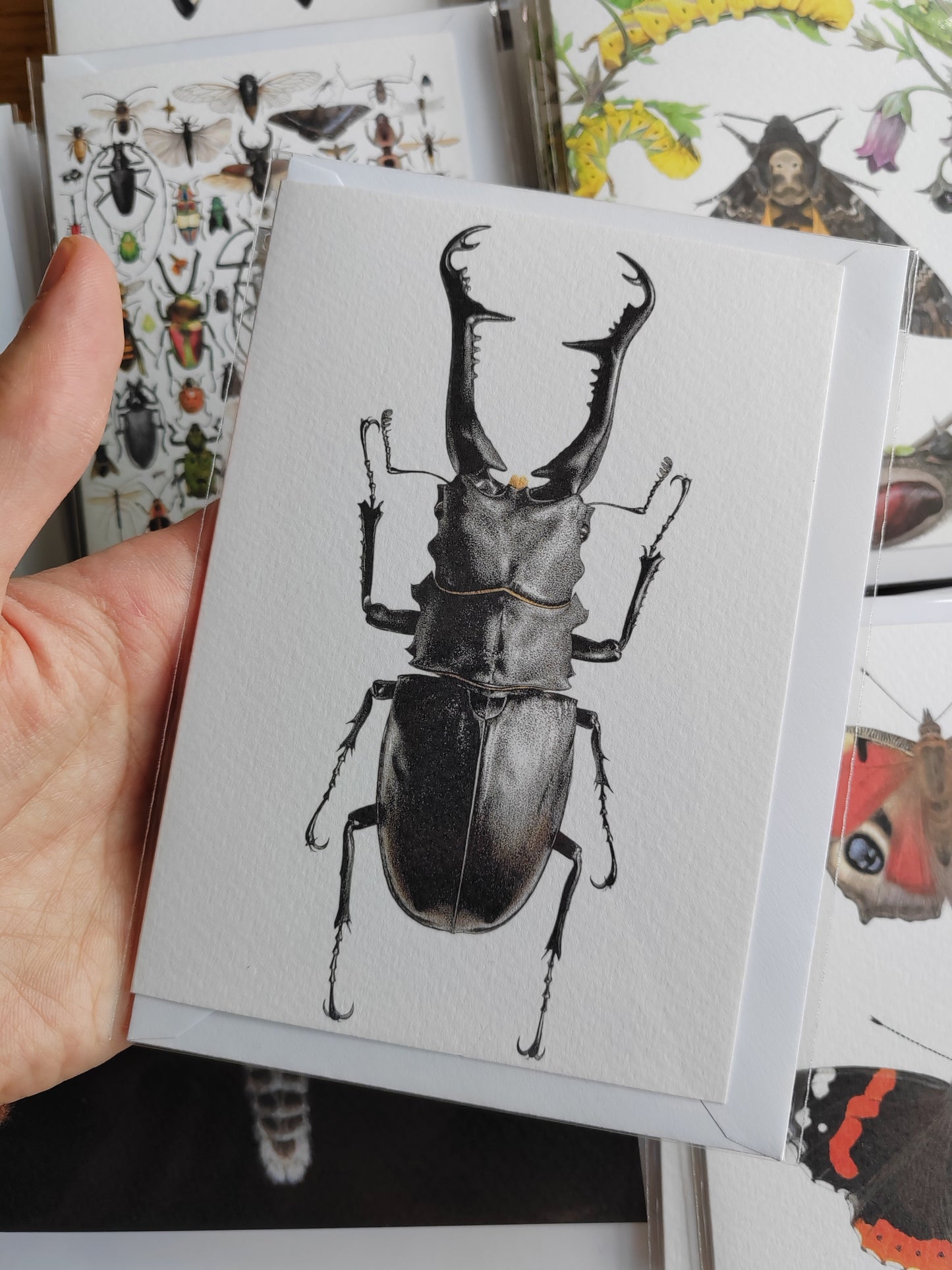 Greetings card - Prosopocoilus giraffa, Giraffe Stag Beetle