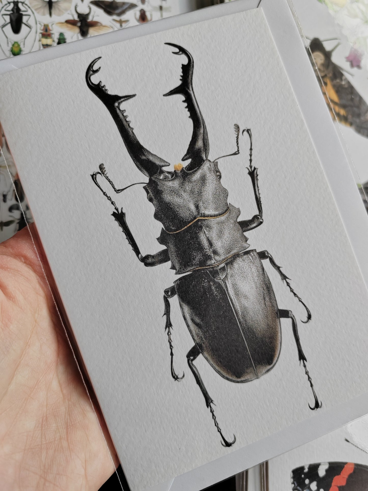 Greetings card - Prosopocoilus giraffa, Giraffe Stag Beetle