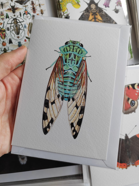 Greetings card - Blue Cicada, Zammara smaragdina