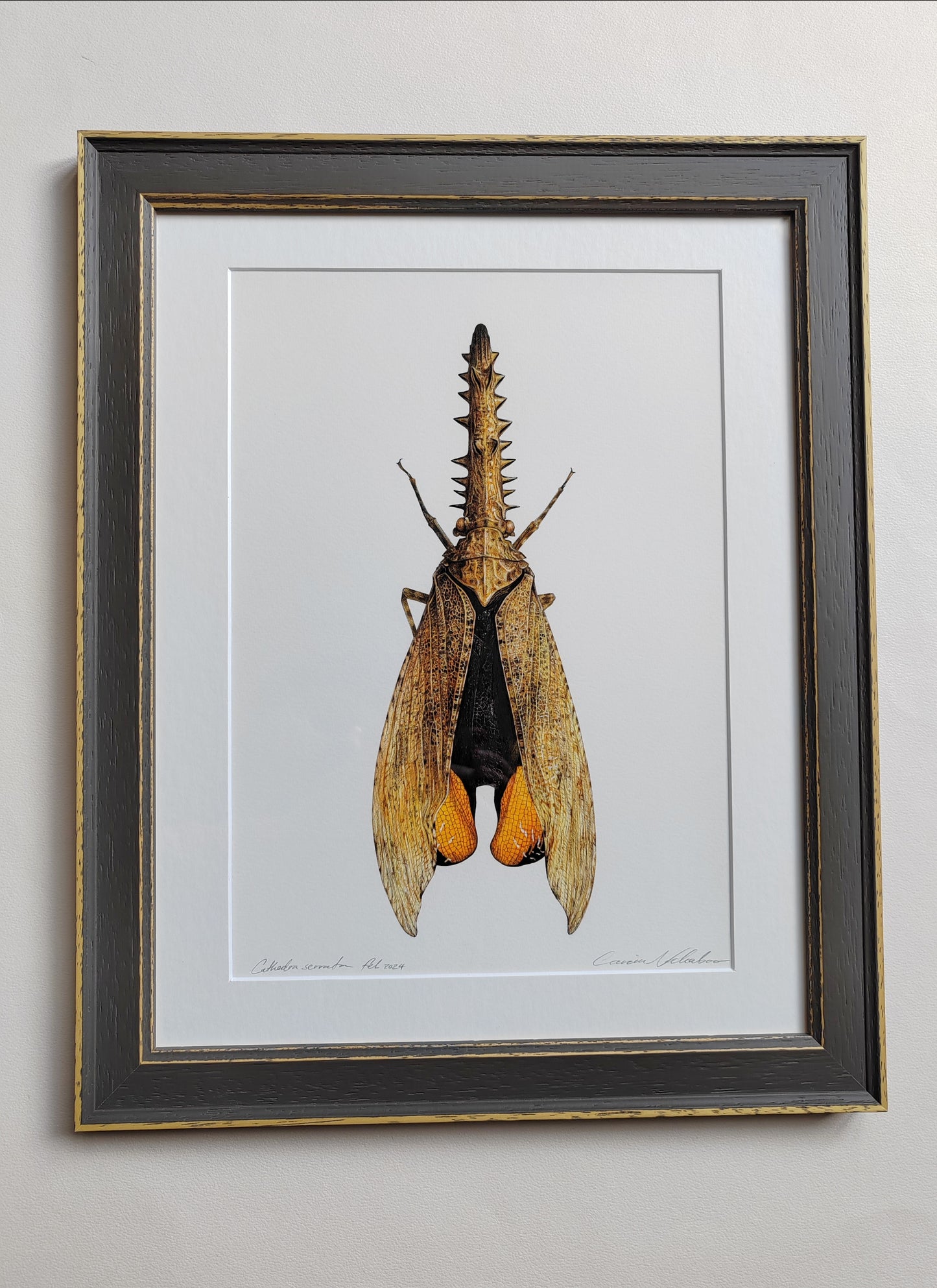 Framed Original Artwork - Cathedra serrata