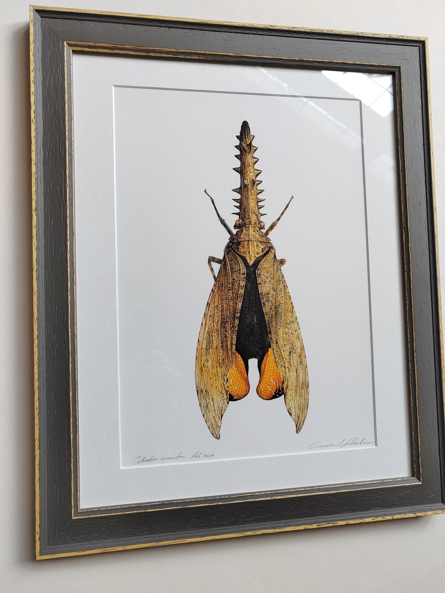 Framed Original Artwork - Cathedra serrata
