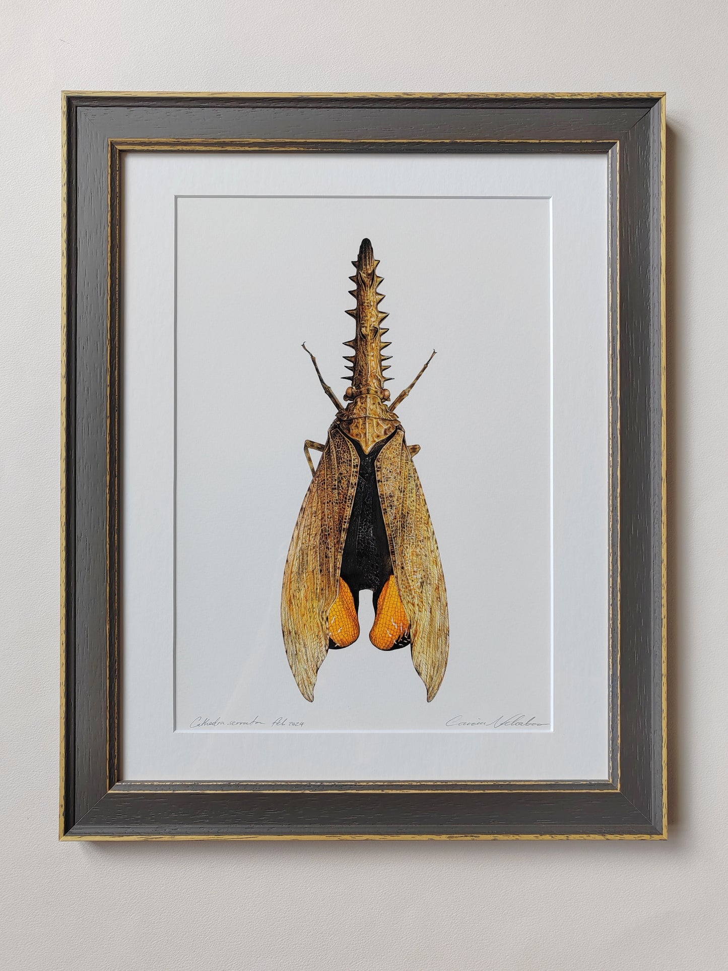 Framed Original Artwork - Cathedra serrata