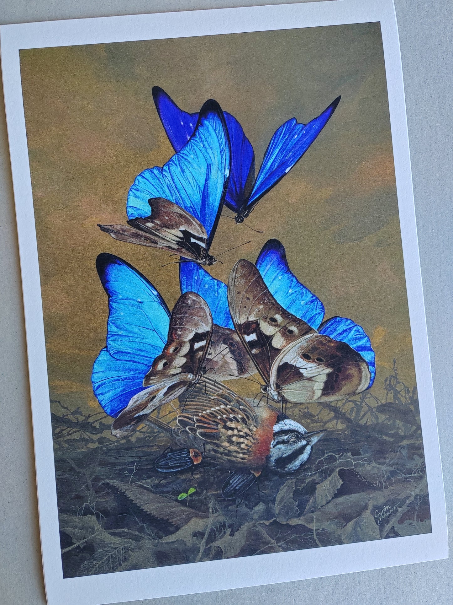 Songbird, limited edition art print 13x9" (Blue Morpho butterflies)
