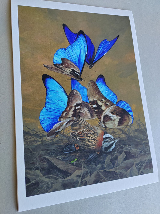 Songbird, limited edition art print 13x9" (Blue Morpho butterflies)