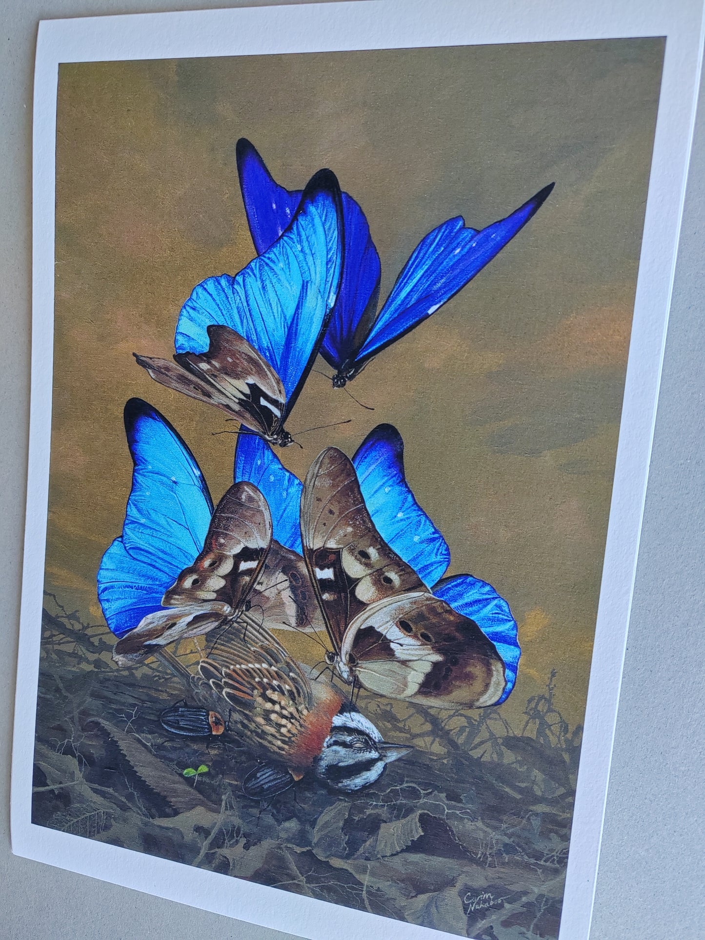 Songbird, limited edition art print 13x9" (Blue Morpho butterflies)