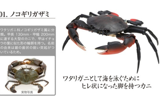Scorpion & Crab figures by BANDAI, Japanese exclusives