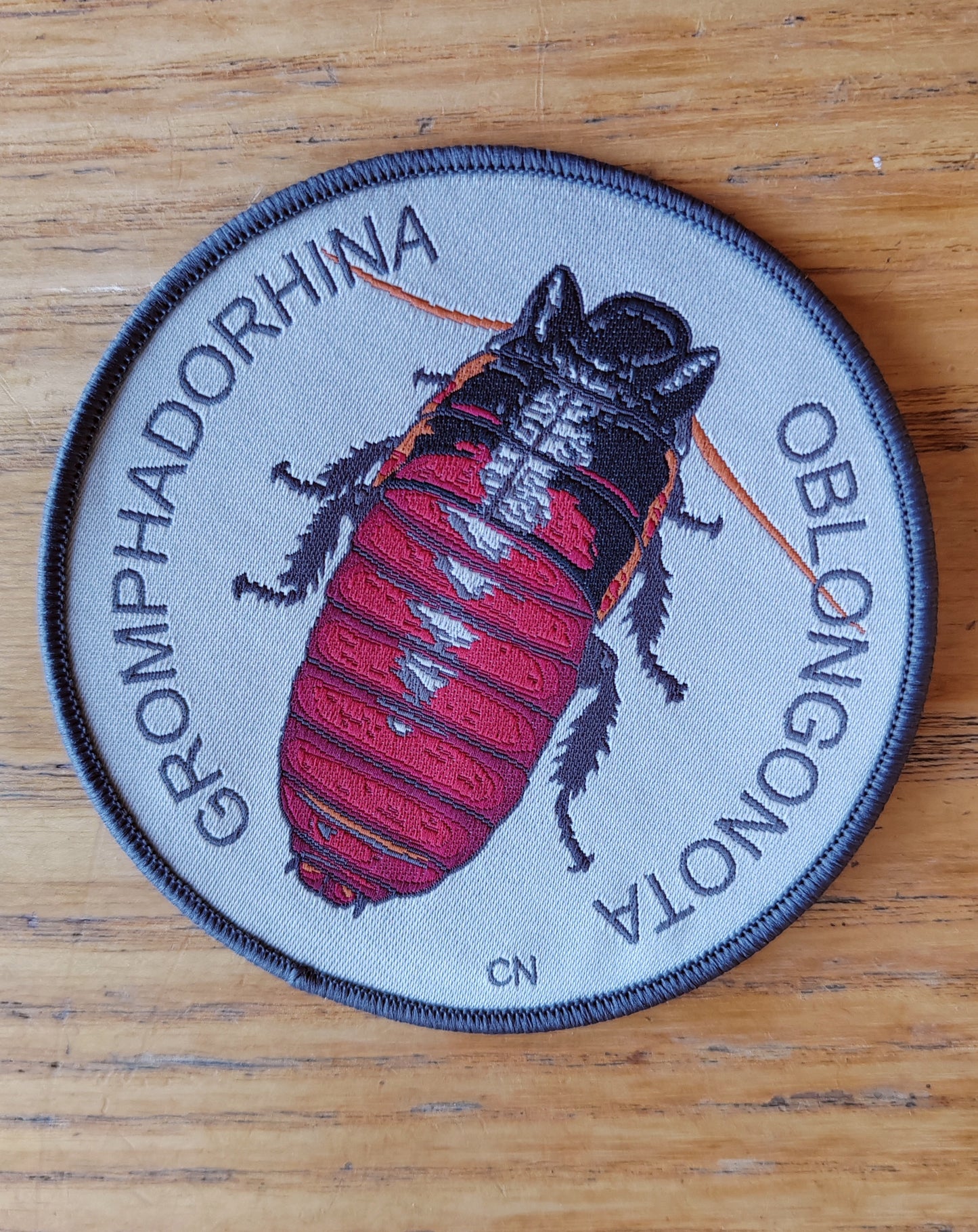 Sew on patch - Gromphadorhina oblongonota, wide horn hissing cockroach
