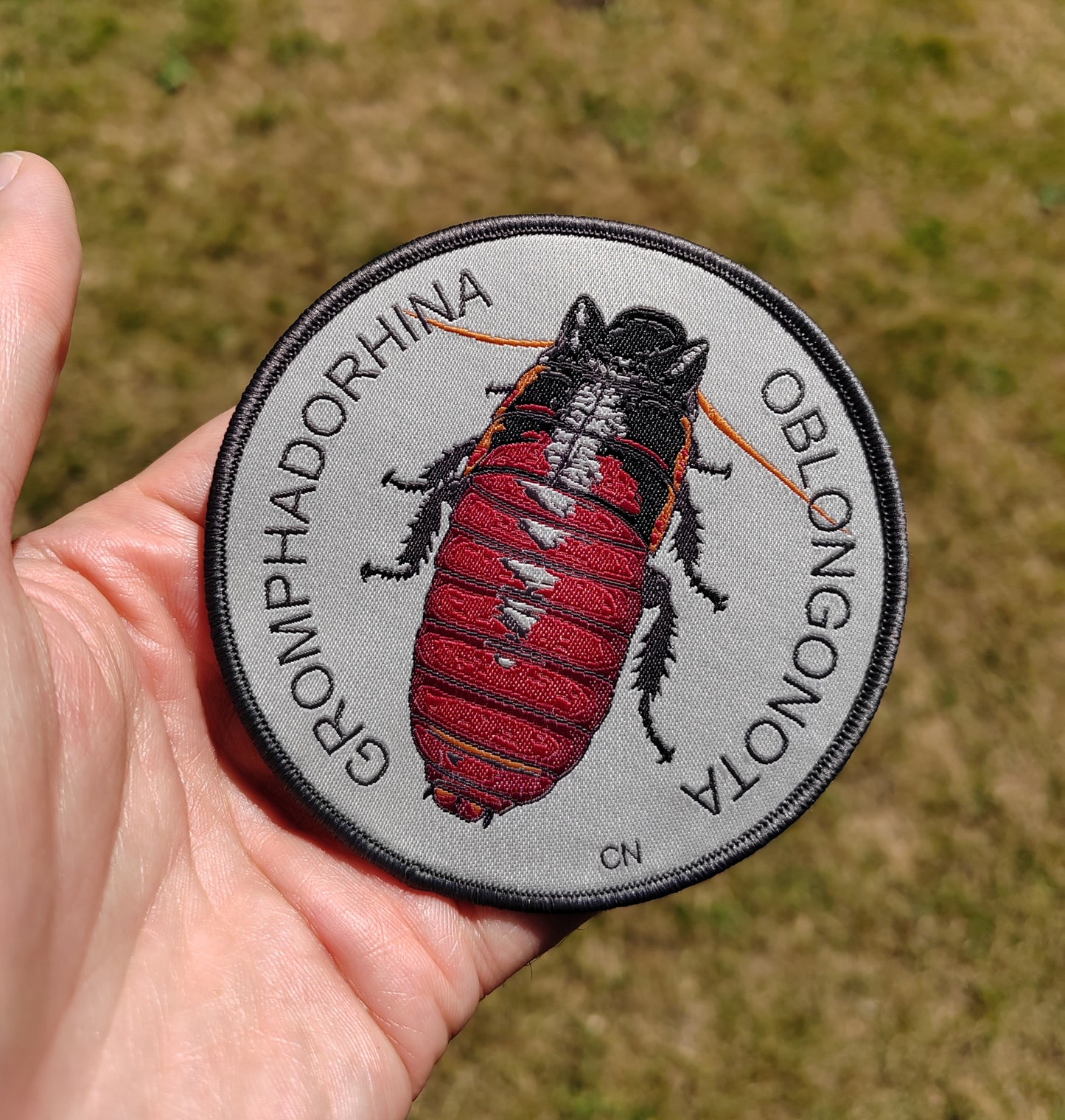 Sew on patch - Gromphadorhina oblongonota, wide horn hissing cockroach