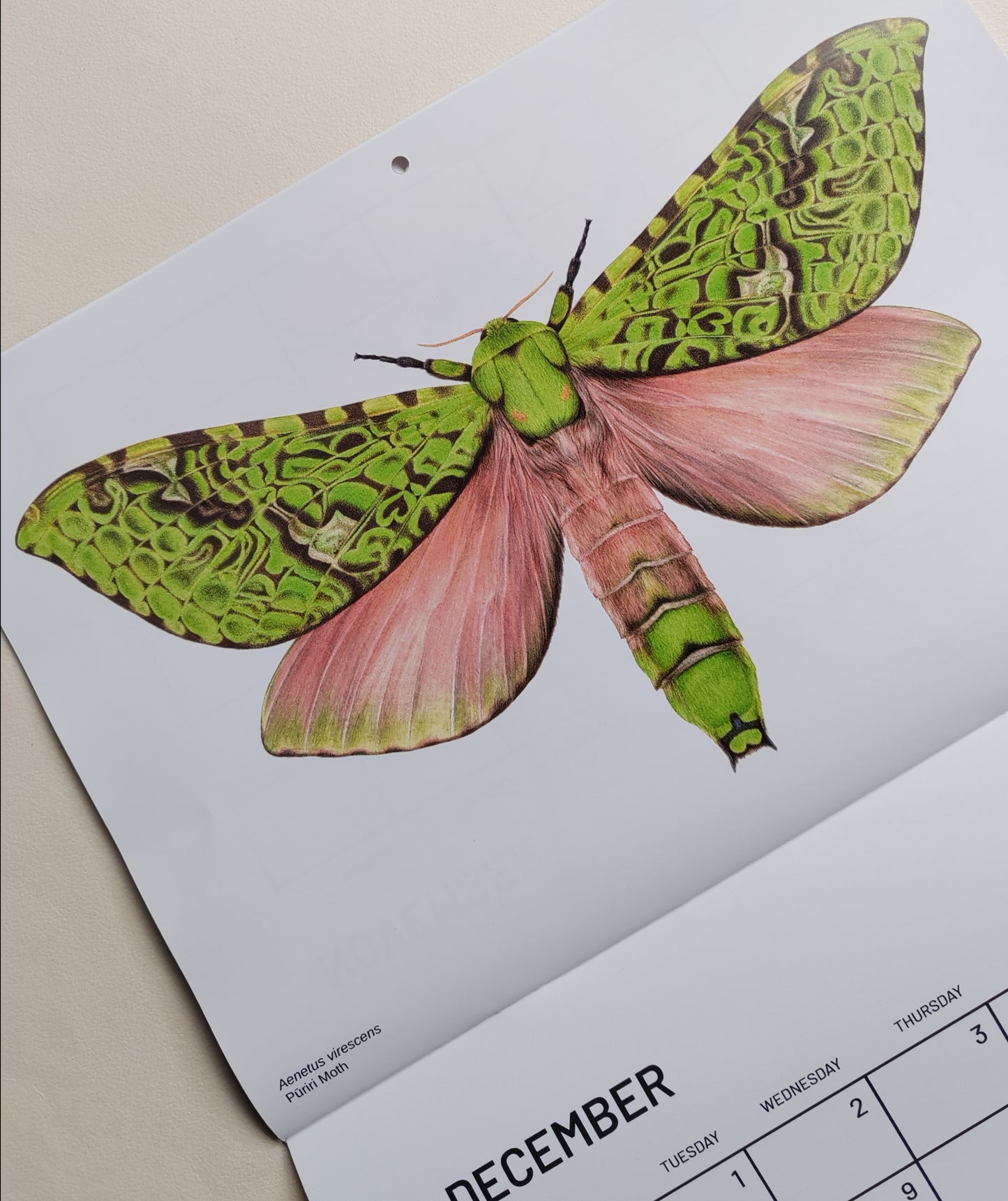 2026 Artwork Calendar