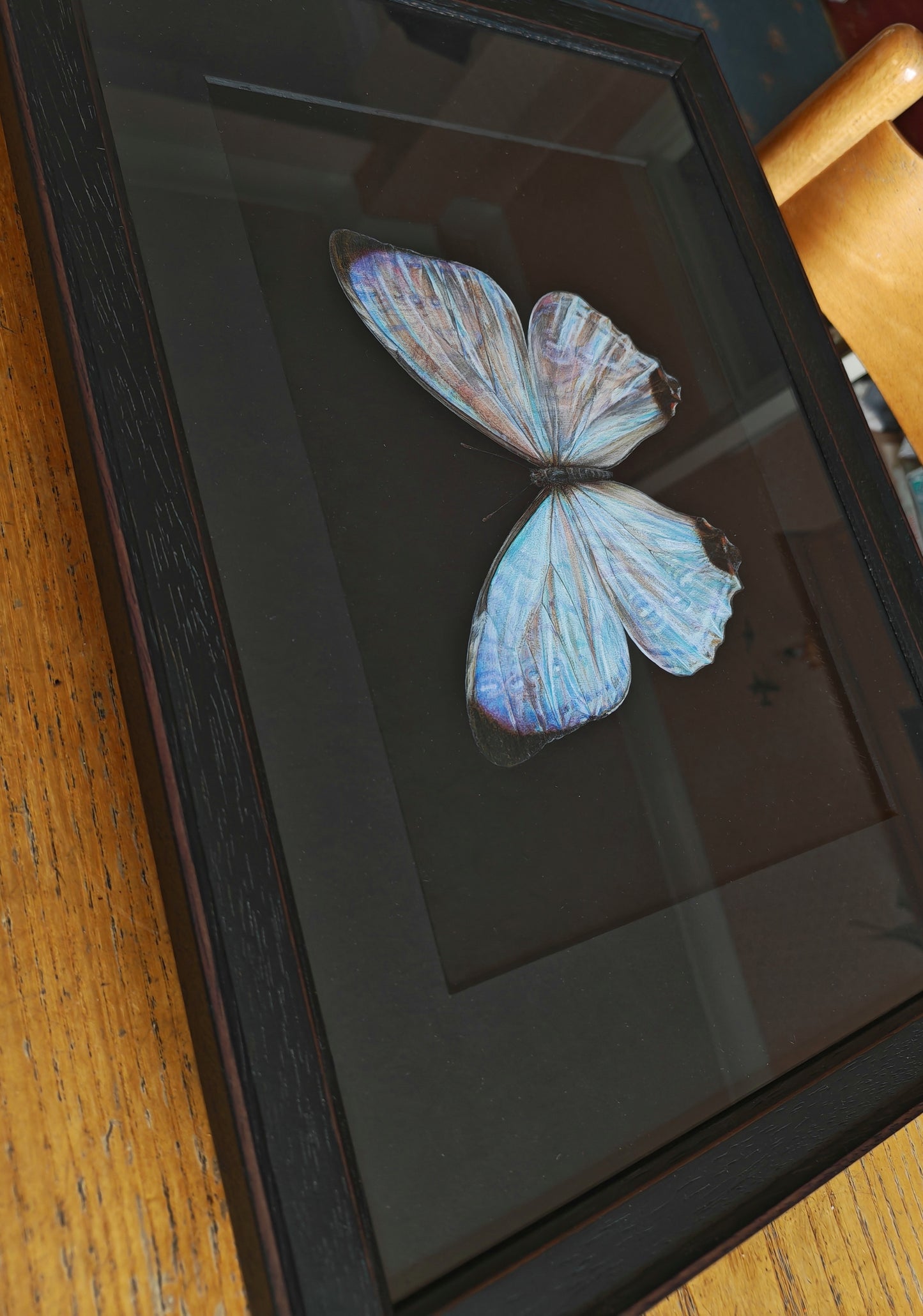 Morpho sulkowskyi, framed original artwork