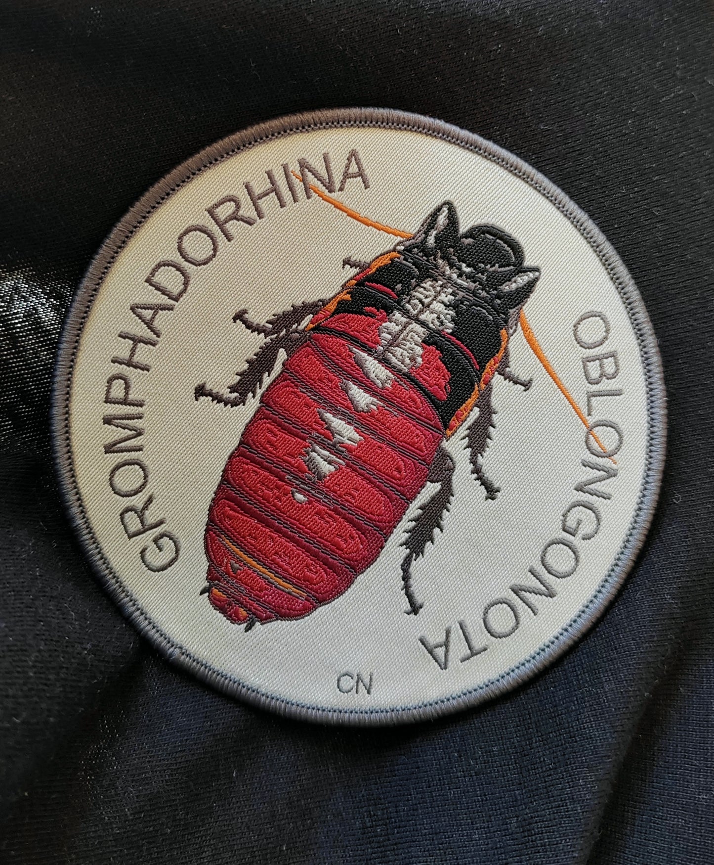 Sew on patch - Gromphadorhina oblongonota, wide horn hissing cockroach