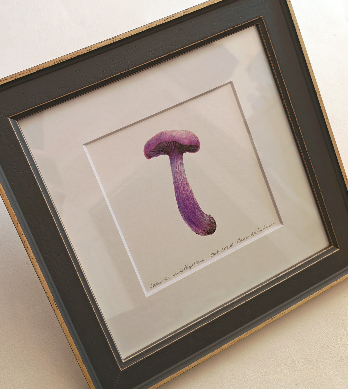 Amethyst Deceiver mushroom, framed original artwork. Laccaria amethystina