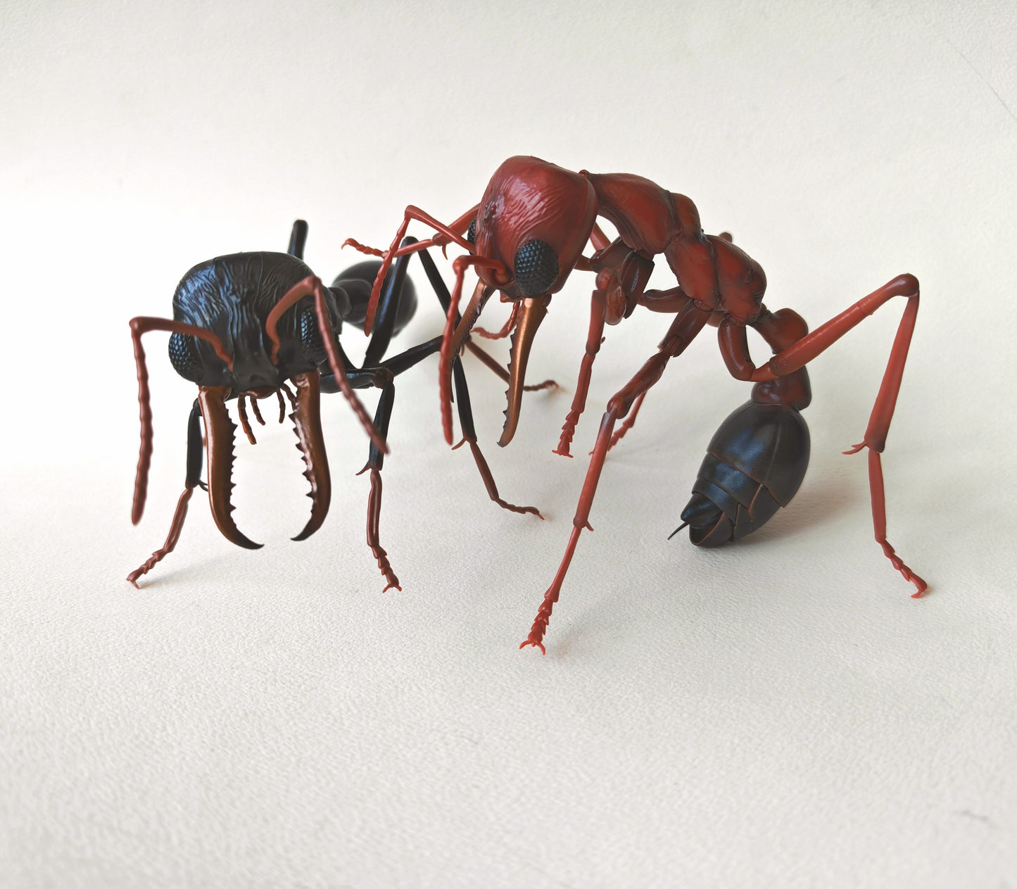 Bullet Ant and Bulldog Ants, Paraponera clavata, Japanese fully posable figure (And other ants!) made by Bandai