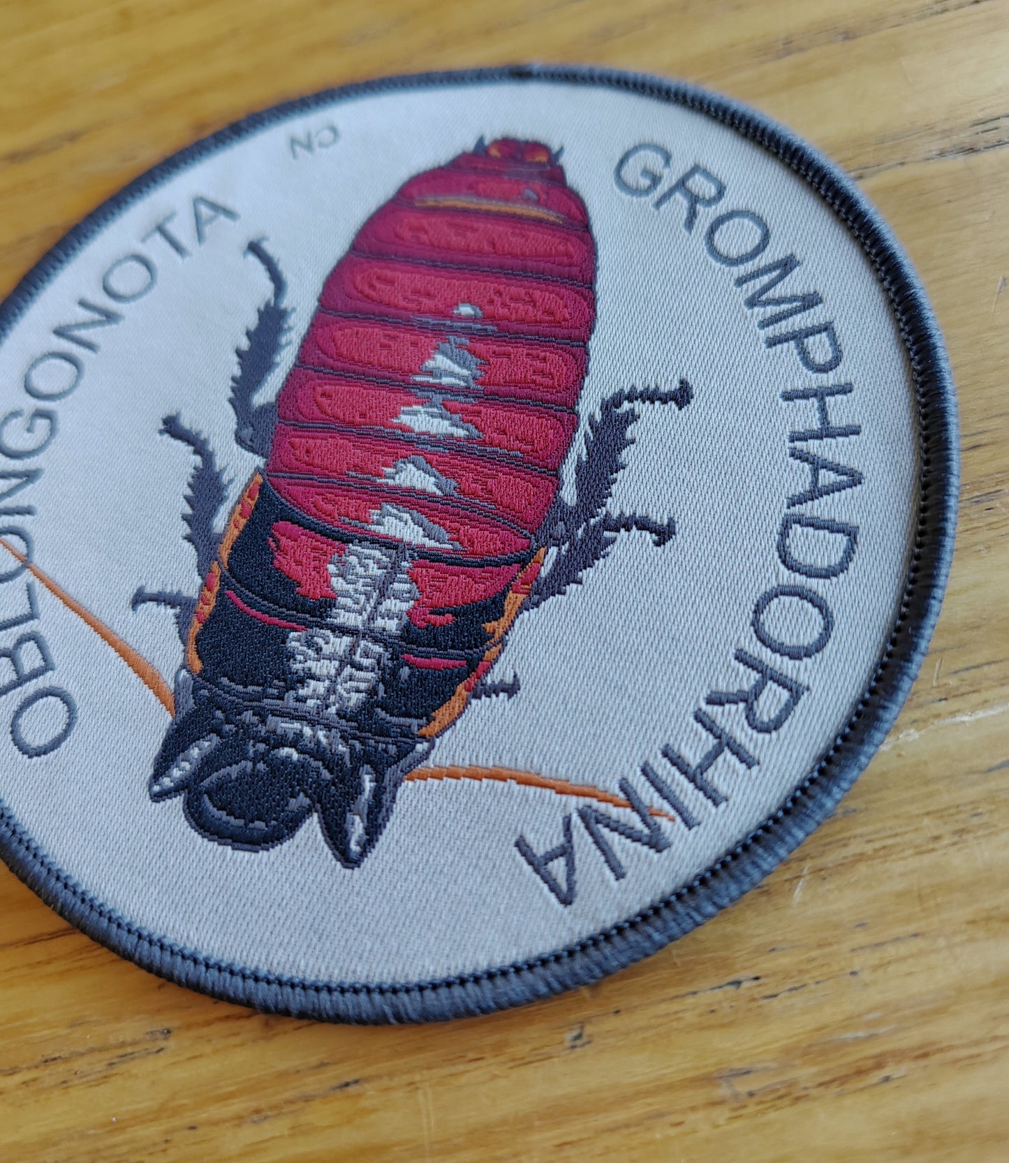 Sew on patch - Gromphadorhina oblongonota, wide horn hissing cockroach