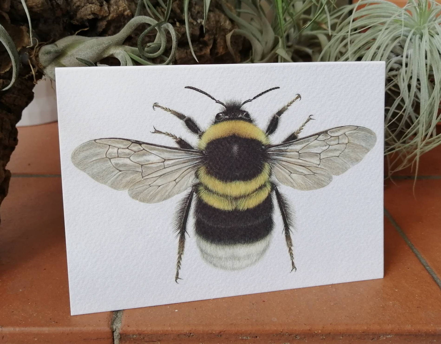 Greetings Card - Bombus hortorum bee insect