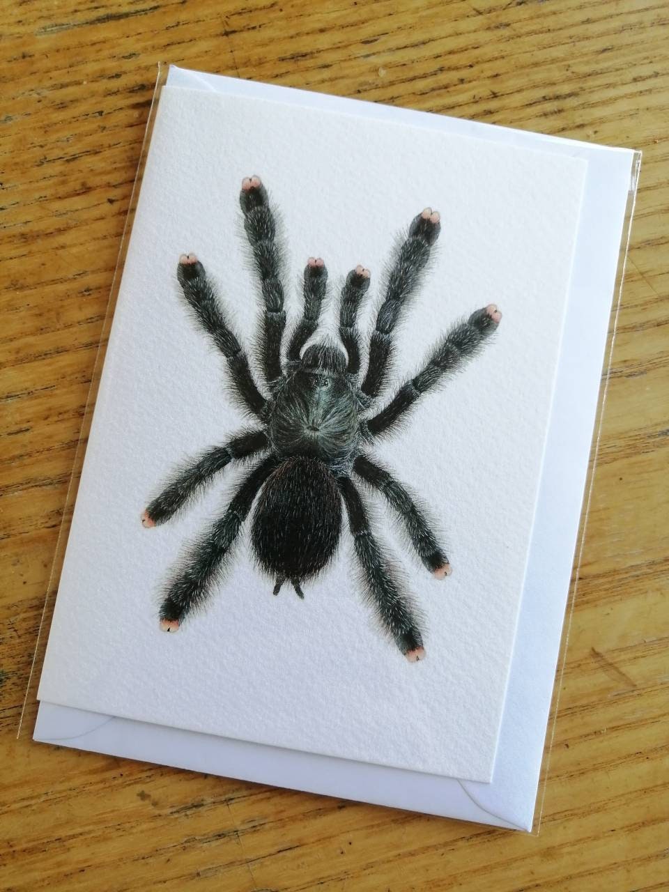 Greetings card - Avicularia avicularia, Pink Toe Tarantula