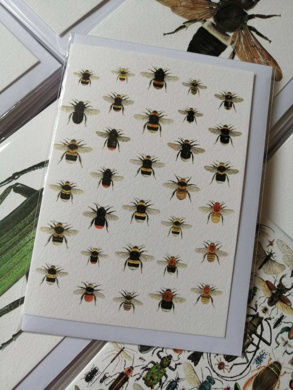 Greetings card - Bumblebees of Britain