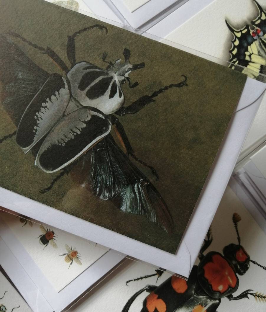 Greetings card - Goliathus regius flying