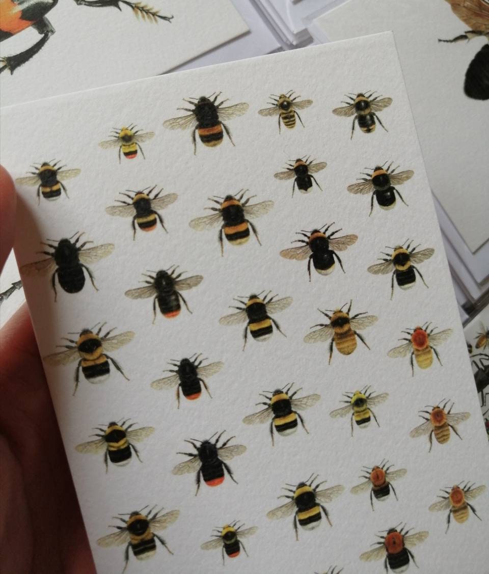 Greetings card - Bumblebees of Britain