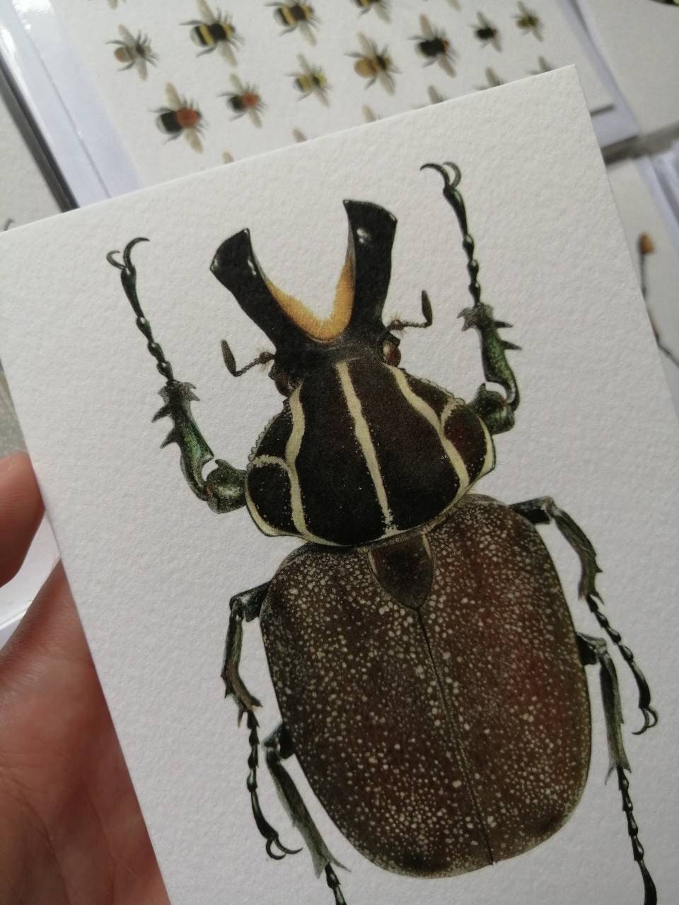 Greetings card - Inca clathtratus