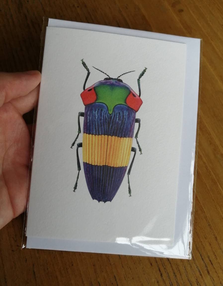 Calodema ribbei greetings card, jewel beetle
