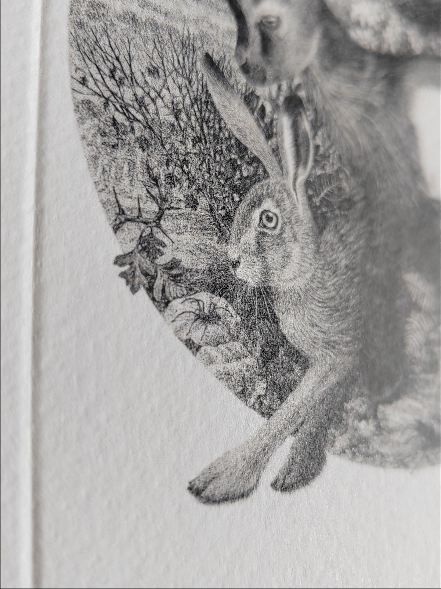 The Magic Returning - Hare, Goat, Raven, Snake Greetings Card, A6 size