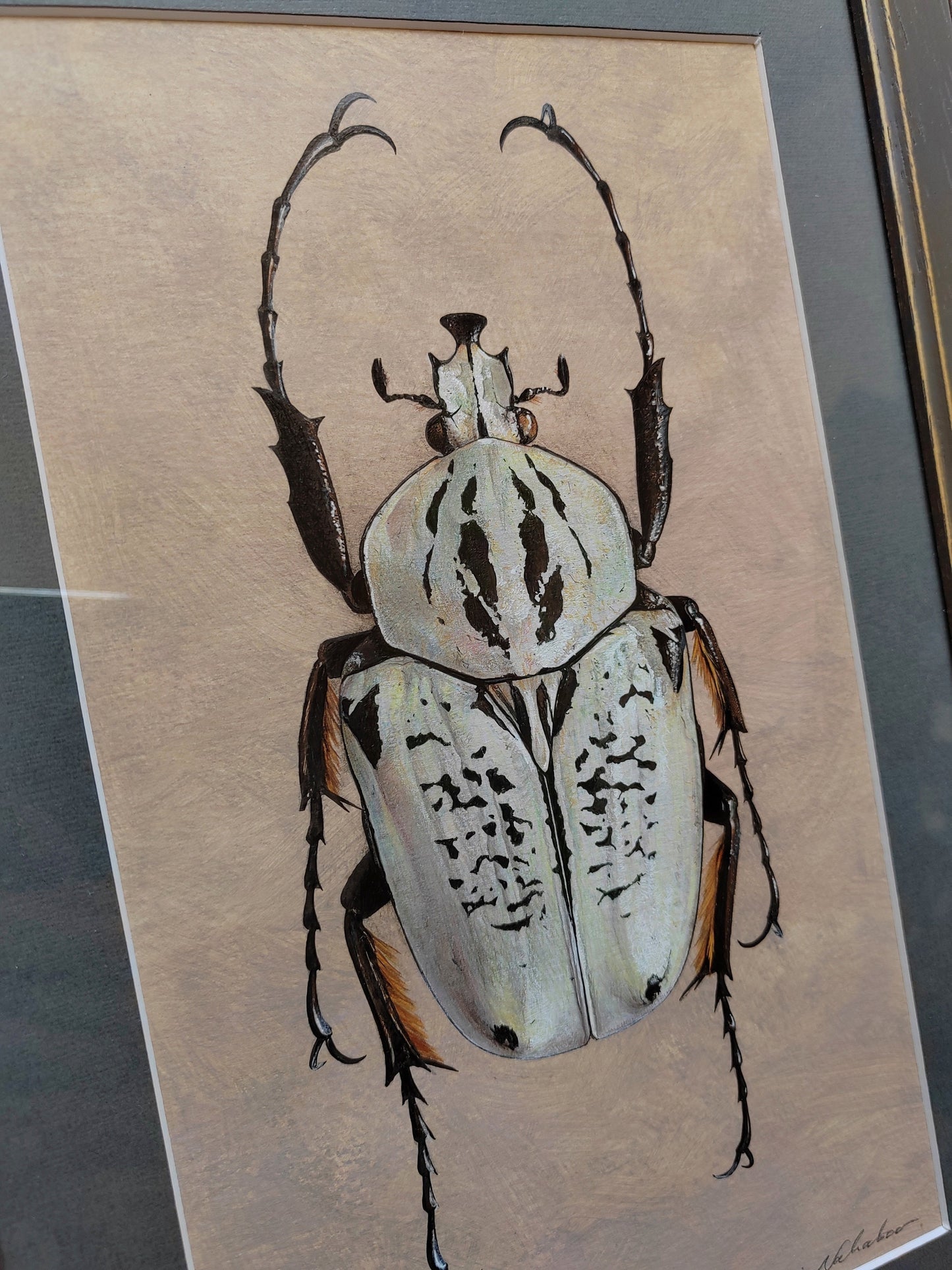 Framed Original Artwork - Argyrophegges kolbei (Goliathus kolbei)