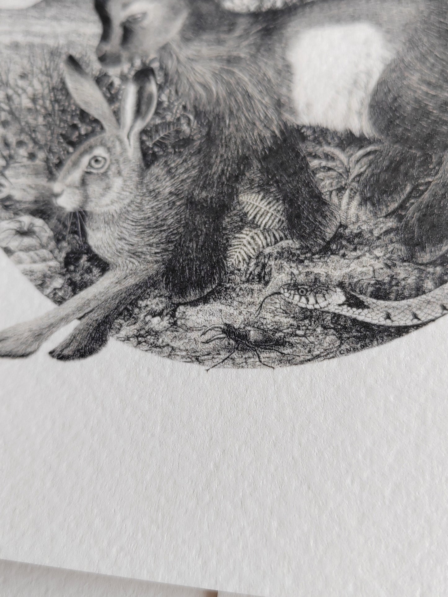 The Magic Returning - Hare, Goat, Raven, Snake Greetings Card, A6 size