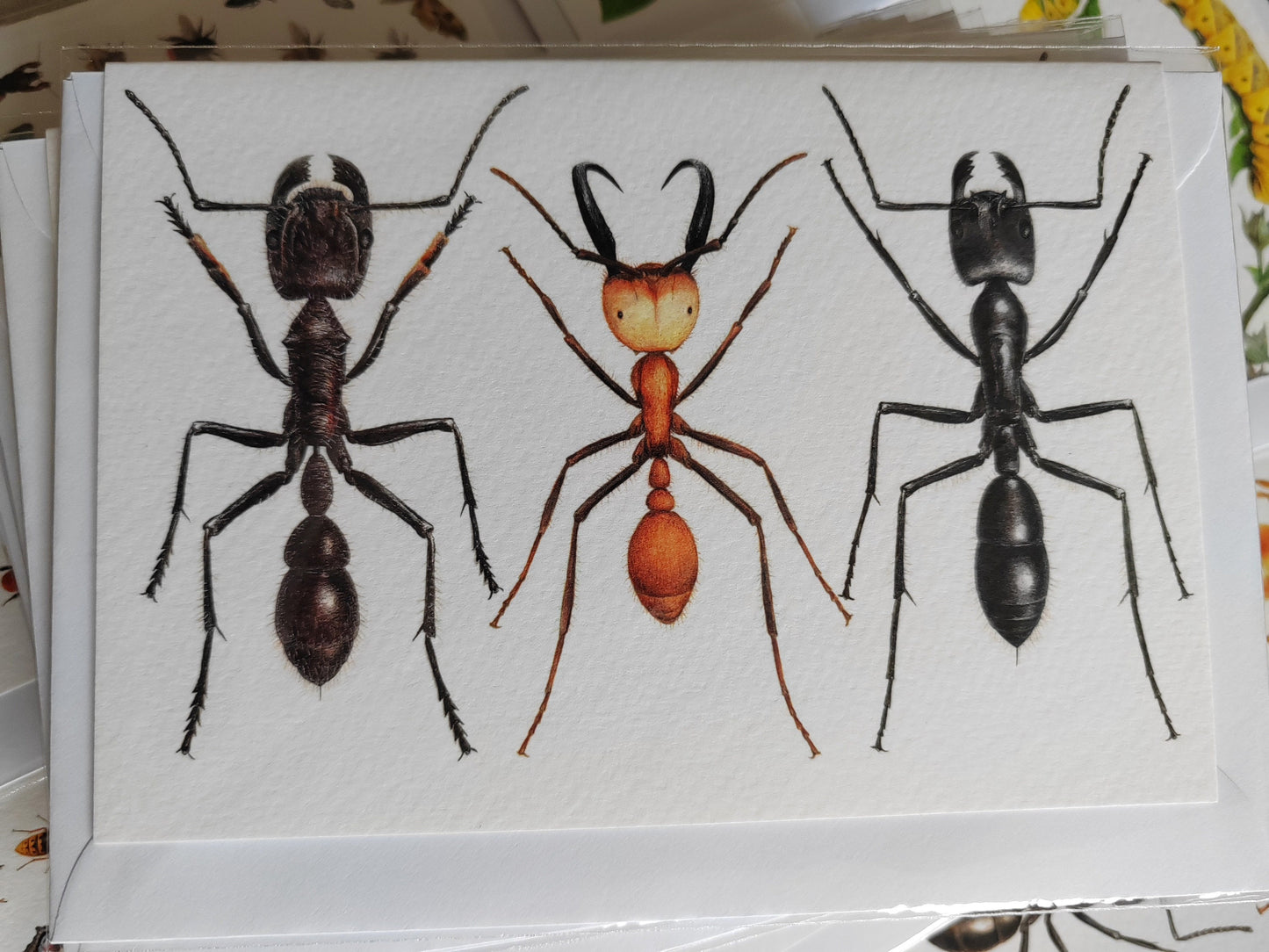 Giant Ants Greetings Card