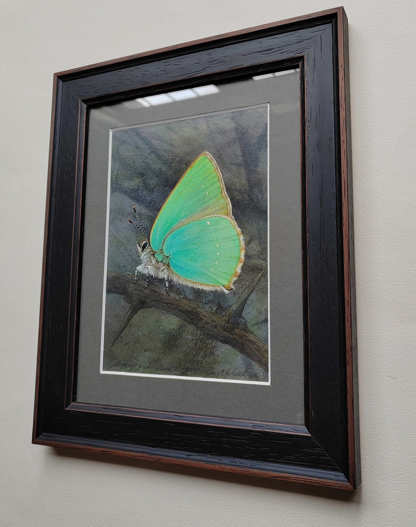 Framed original artwork - Green Hairstreak butterfly, Callophrys rubi