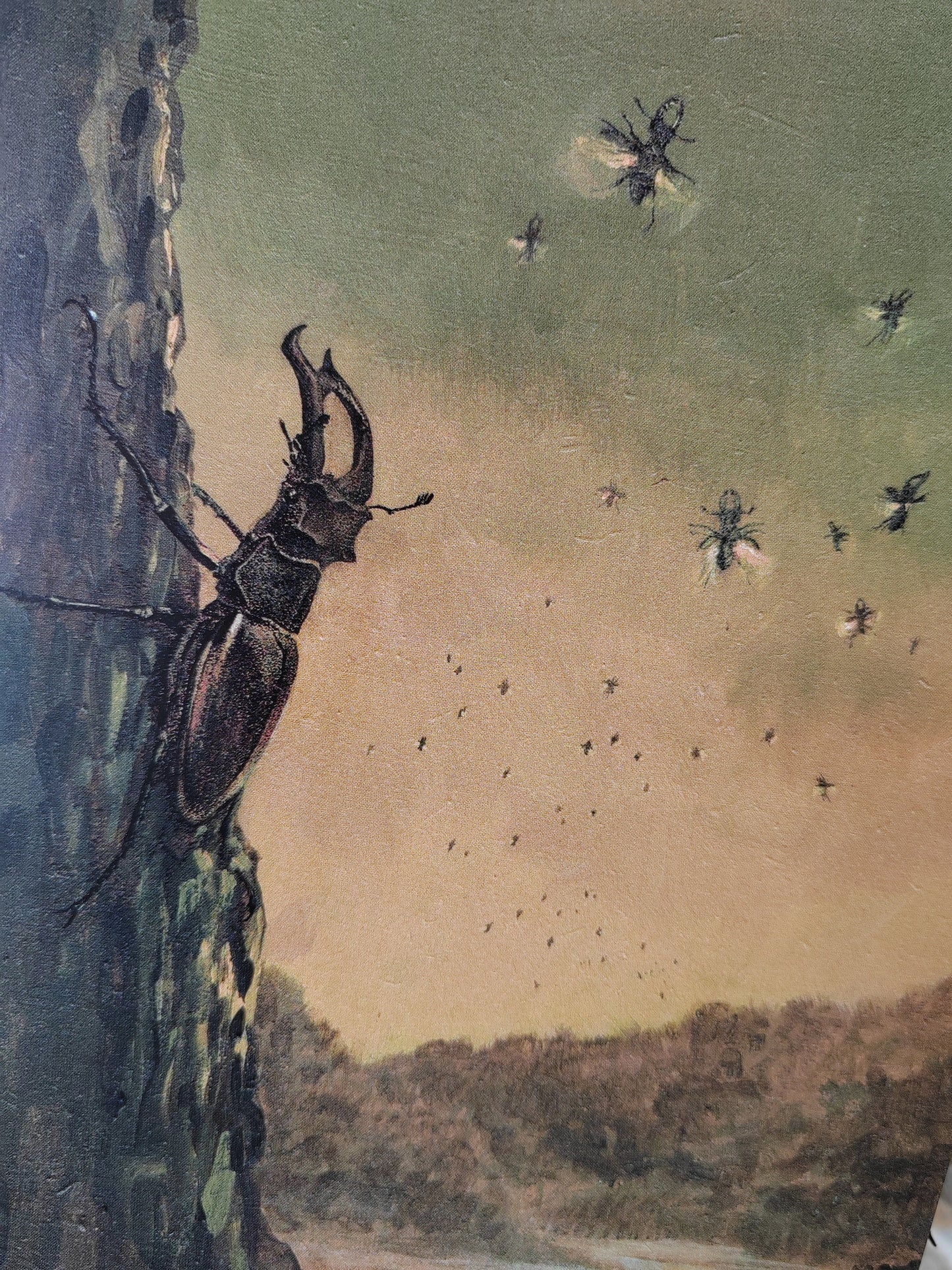 A5 size giant postcard - Billywitch Stag Beetle landscape