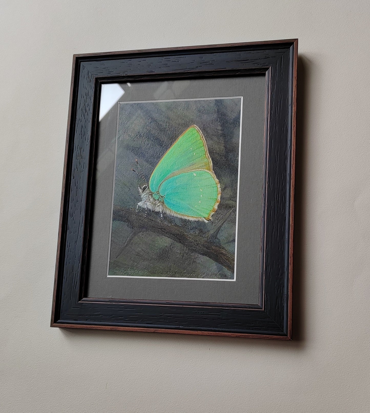 Framed original artwork - Green Hairstreak butterfly, Callophrys rubi