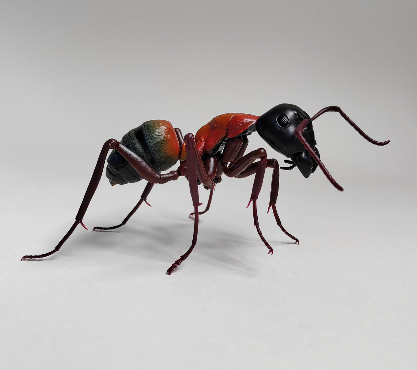 Bullet Ant, Paraponera clavata, Japanese fully posable figure (And other ants!) made by Bandai