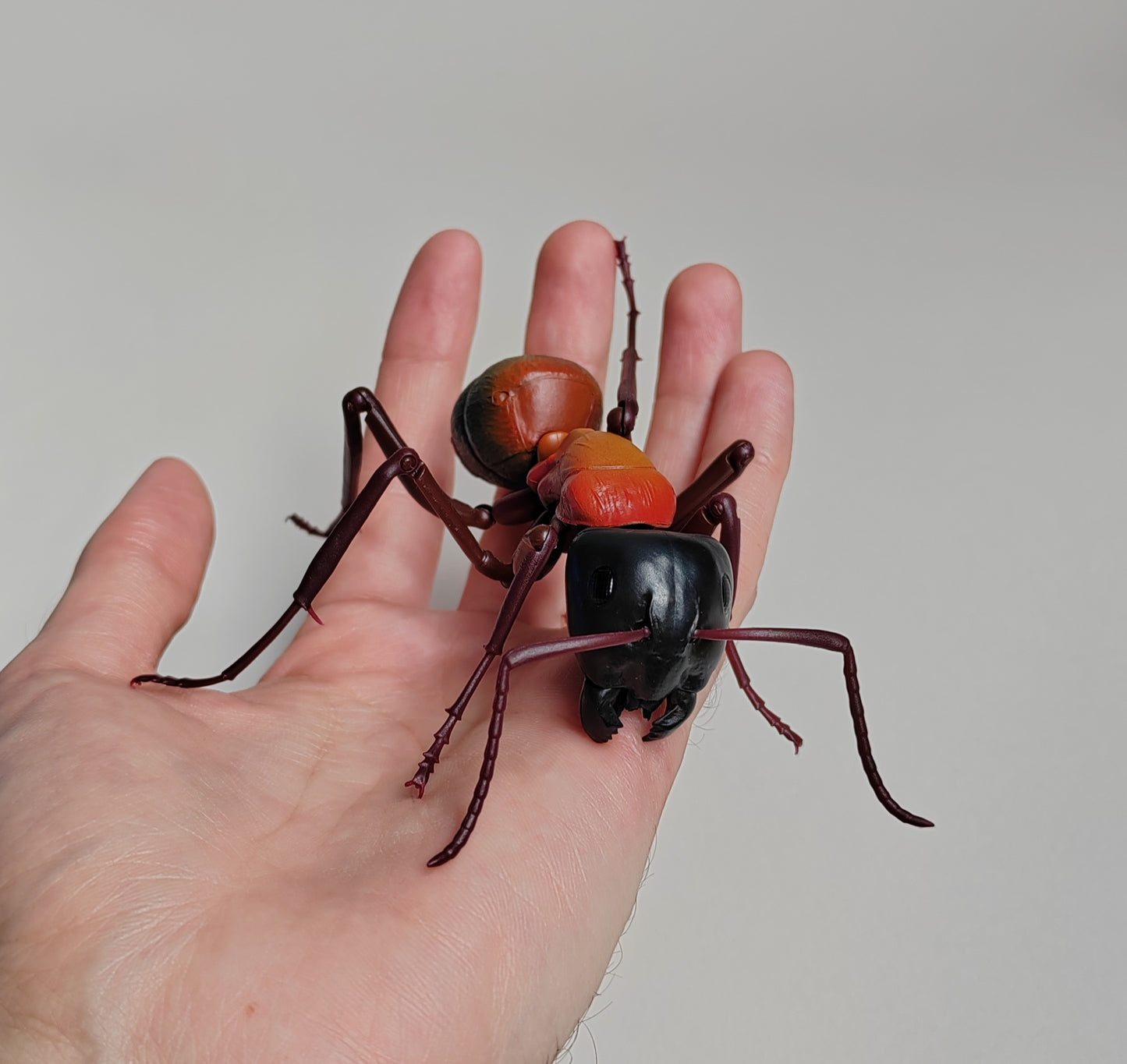 Bullet Ant, Paraponera clavata, Japanese fully posable figure (And other ants!) made by Bandai