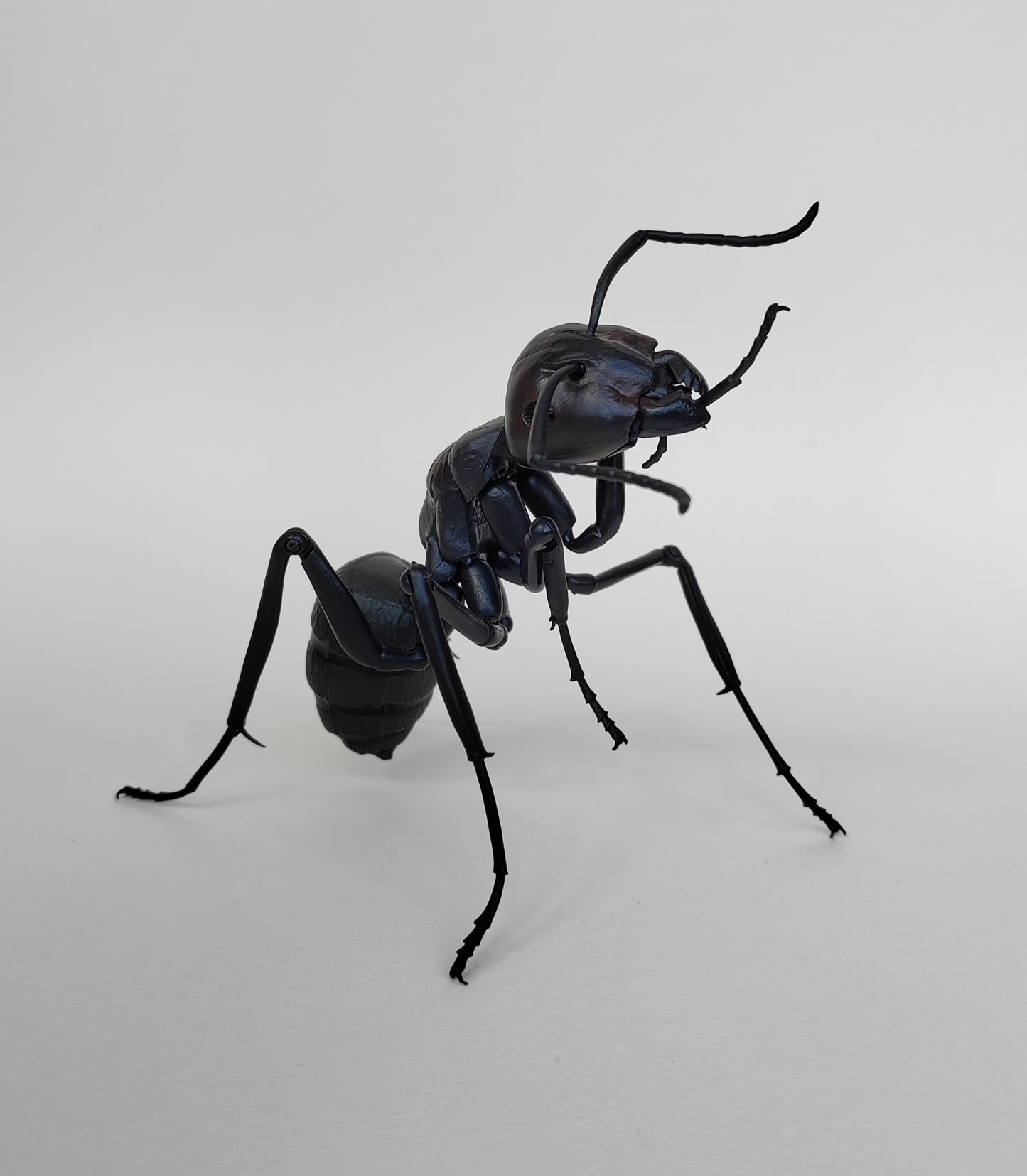 Bullet Ant, Paraponera clavata, Japanese fully posable figure (And other ants!) made by Bandai