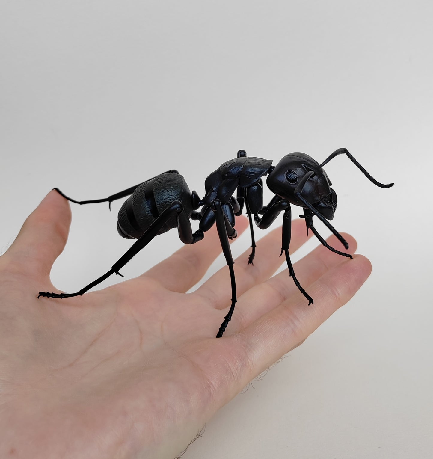 Bullet Ant, Paraponera clavata, Japanese fully posable figure (And other ants!) made by Bandai