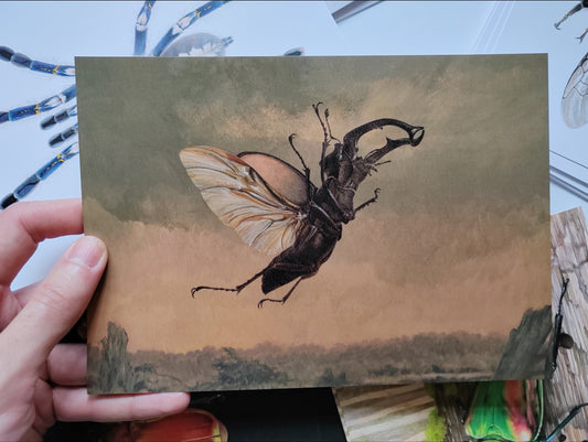 A5 size giant Postcard, Billywitch, flying stag beetle (Lucanus cervus)