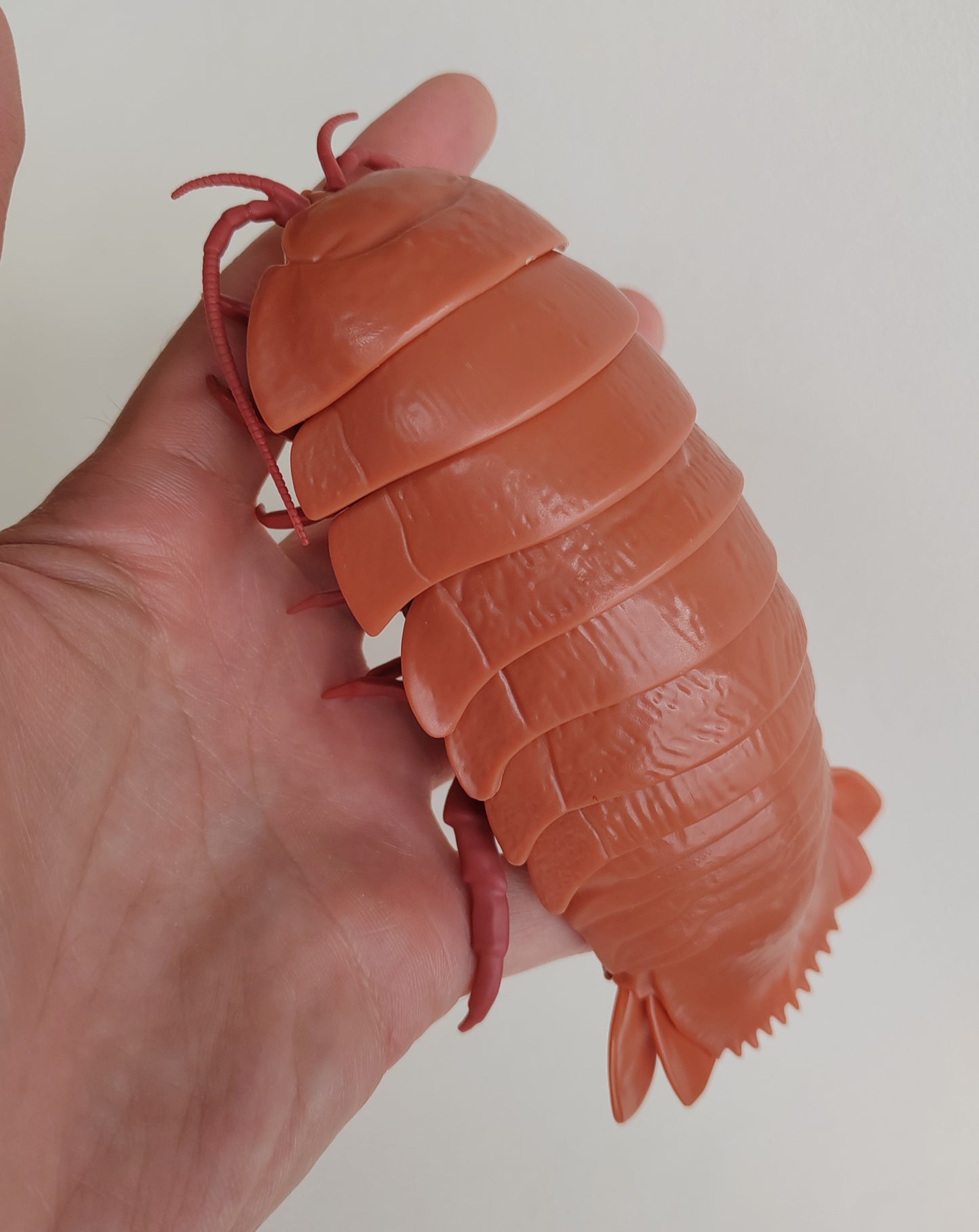 Dangomushi - Isopod, Woodlouse, Pillbug figures! Various options, Japanese exclusives.