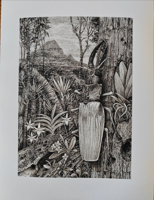 Macrodontia Landscape, A4 size Limited edition art print
