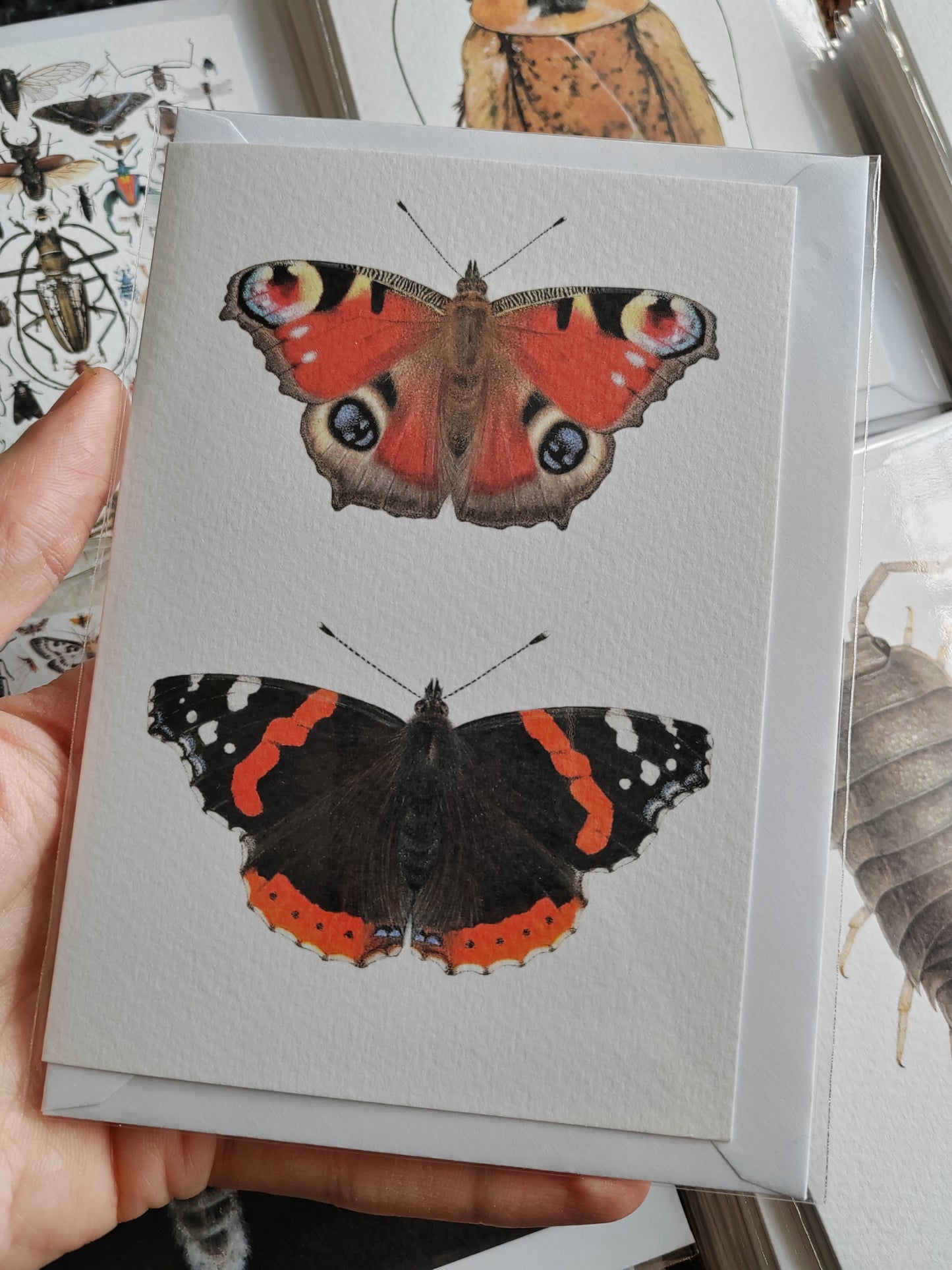 Greetings card - British Butterflies - Peacock butterfly and Red Admiral