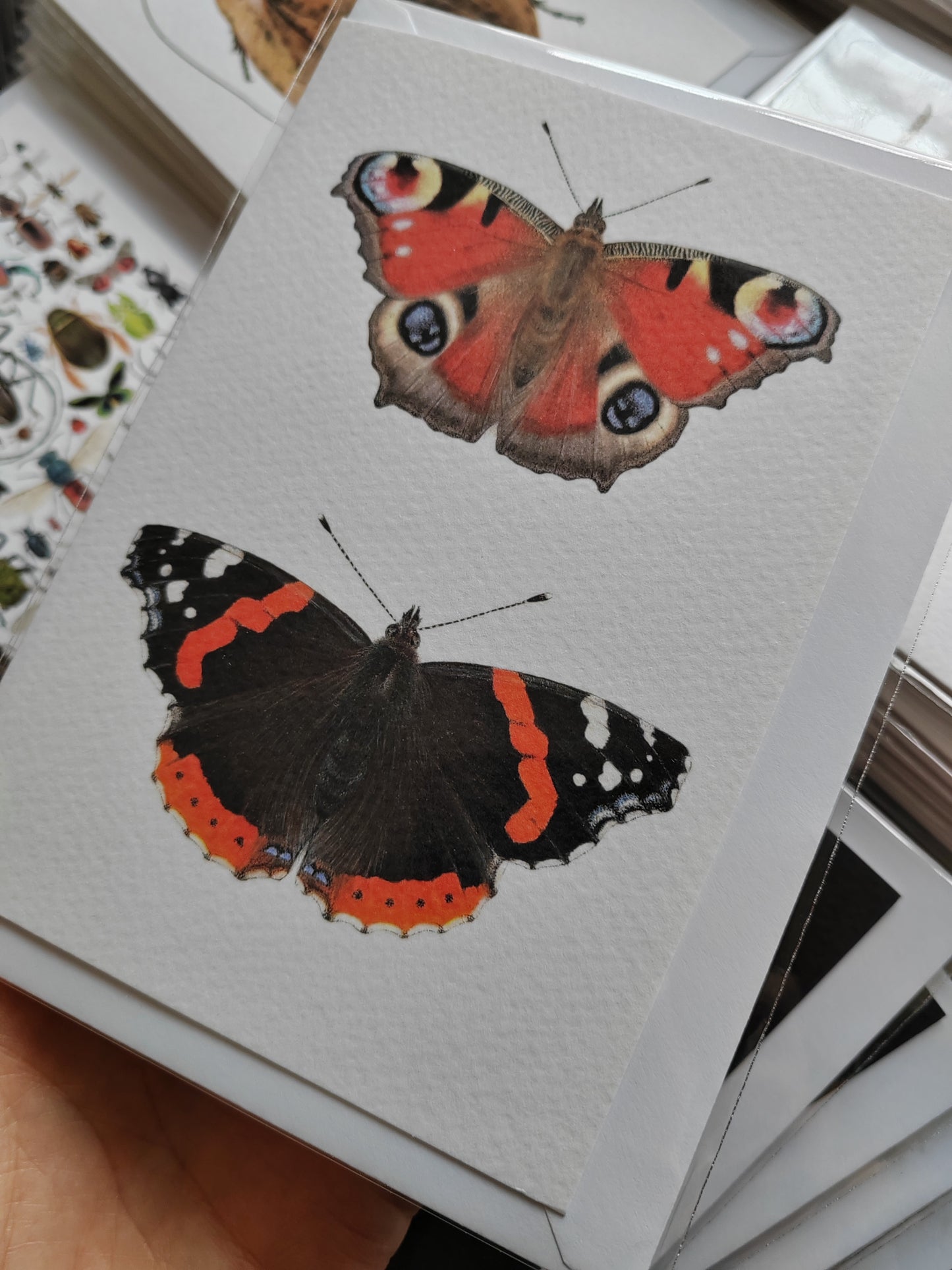 Greetings card - British Butterflies - Peacock butterfly and Red Admiral