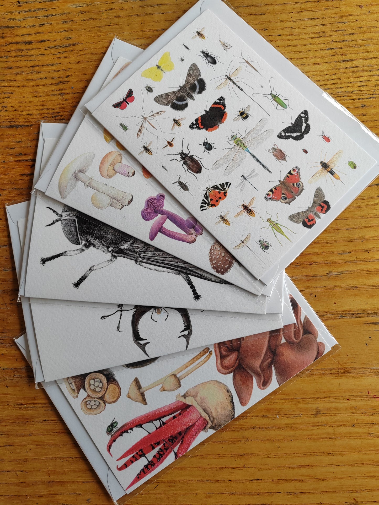 SECONDS - pack of 5 greetings cards, imperfect printing