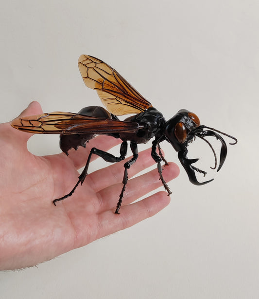 Japanese Insect figures – Carim Nahaboo Artwork