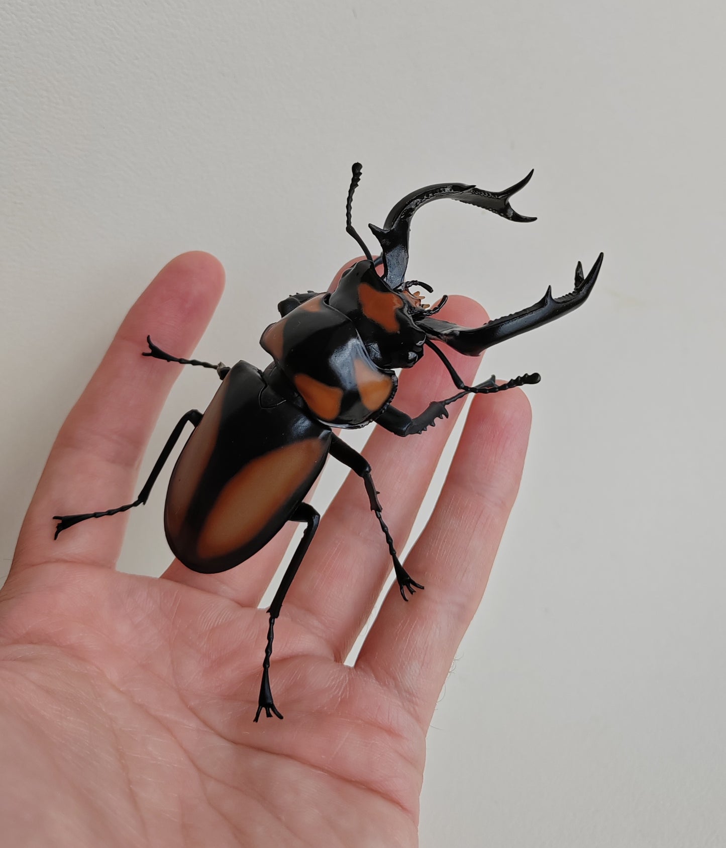 Bandai Stag Beetles - Kuwagata set 08 FULL SET, 5 figures