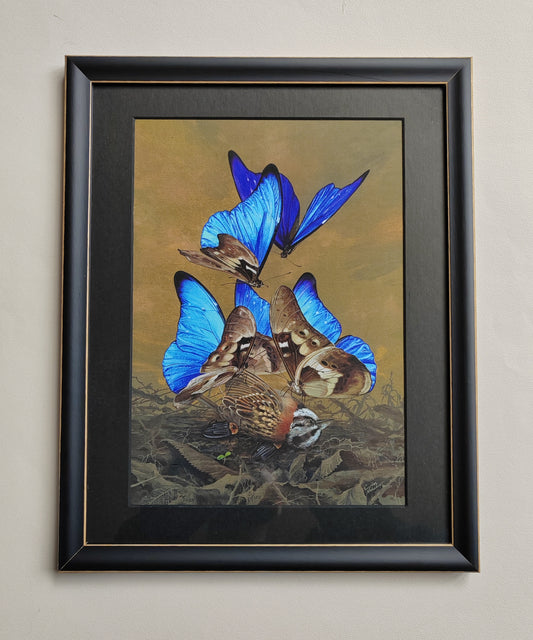 Songbird - framed Limited edition art print